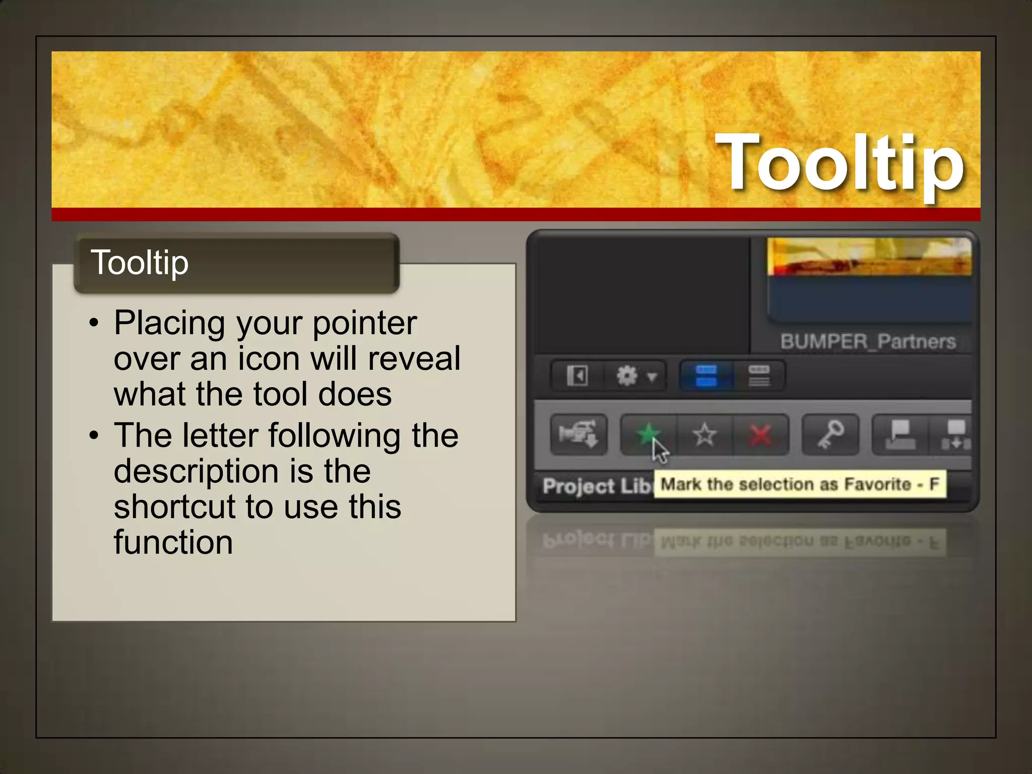 Tooltip
Tooltip
• Placing your pointer
  over an icon will reveal
  what the tool does
• The letter following the
  description is the
  shortcut to use this
  function
 