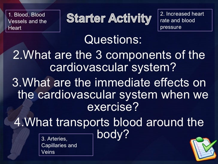 Physiological Response Questions And Answers