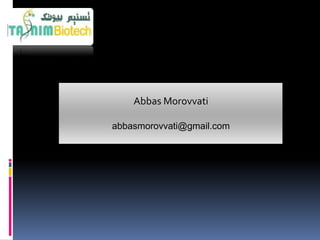 Abbas Morovvati

abbasmorovvati@gmail.com
 
