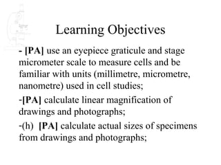 Learning Objectives
- [PA] use an eyepiece graticule and stage
micrometer scale to measure cells and be
familiar with units (millimetre, micrometre,
nanometre) used in cell studies;
-[PA] calculate linear magnification of
drawings and photographs;
-(h) [PA] calculate actual sizes of specimens
from drawings and photographs;
 