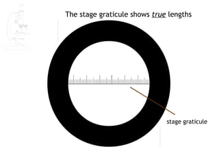 The stage graticule shows true lengths




                              stage graticule
 