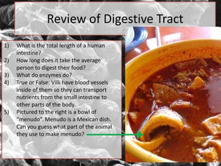 Review of Digestive Tract
1) What is the total length of a human
intestine?
2) How long does it take the average
person to digest their food?
3) What do enzymes do?
4) True or False: Villi have blood vessels
inside of them so they can transport
nutrients from the small intestine to
other parts of the body.
5) Pictured to the right is a bowl of
“menudo”. Menudo is a Mexican dish.
Can you guess what part of the animal
they use to make menudo?
 