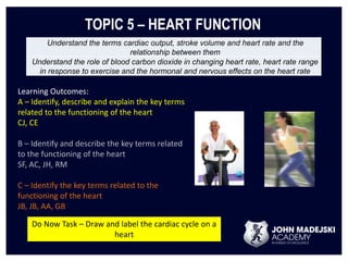 TOPIC 5 – HEART FUNCTION 
Understand the terms cardiac output, stroke volume and heart rate and the 
relationship between them 
Understand the role of blood carbon dioxide in changing heart rate, heart rate range 
in response to exercise and the hormonal and nervous effects on the heart rate 
Learning Outcomes: 
A – Identify, describe and explain the key terms 
related to the functioning of the heart 
CJ, CE 
B – Identify and describe the key terms related 
to the functioning of the heart 
SF, AC, JH, RM 
C – Identify the key terms related to the 
functioning of the heart 
JB, JB, AA, GB 
Do Now Task – Draw and label the cardiac cycle on a 
heart 
 