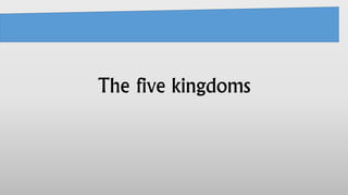 The five kingdoms 
 