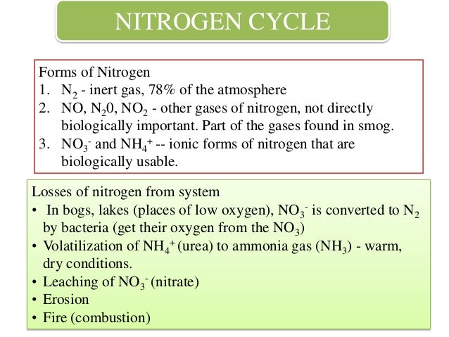 Lesson 2. biogeochemical cycles