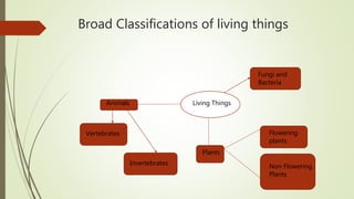 Broad Classifications of living things
Living Things
Plants
Flowering
plants
Non Flowering
Plants
Animals
Vertebrates
Invertebrates
Fungi and
Bacteria
 