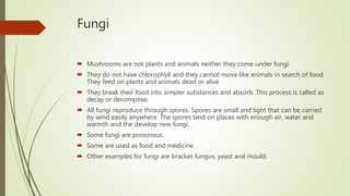 Fungi
 Mushrooms are not plants and animals neither they come under fungi
 They do not have chlorophyll and they cannot move like animals in search of food.
They feed on plants and animals dead or alive
 They break their food into simpler substances and absorb. This process is called as
decay or decompose.
 All fungi reproduce through spores. Spores are small and light that can be carried
by wind easily anywhere. The spores land on places with enough air, water and
warmth and the develop new fungi.
 Some fungi are poisonous.
 Some are used as food and medicine
 Other examples for fungi are bracket fungus, yeast and mould.
 