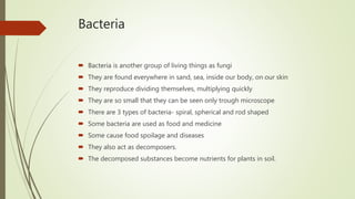 Bacteria
 Bacteria is another group of living things as fungi
 They are found everywhere in sand, sea, inside our body, on our skin
 They reproduce dividing themselves, multiplying quickly
 They are so small that they can be seen only trough microscope
 There are 3 types of bacteria- spiral, spherical and rod shaped
 Some bacteria are used as food and medicine
 Some cause food spoilage and diseases
 They also act as decomposers.
 The decomposed substances become nutrients for plants in soil.
 