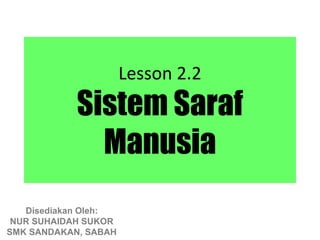 Lesson 2.2
            Sistem Saraf
              Manusia
   Disediakan Oleh:
 NUR SUHAIDAH SUKOR
SMK SANDAKAN, SABAH
 