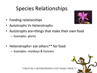 Species Relationships ,[object Object],[object Object],[object Object],[object Object],[object Object],[object Object],&quot;I MUST BE A HETEROTROPH I CAN'T MAKE THESE !!&quot; 