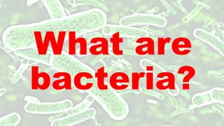 Diseases caused by Bacteria.pptx