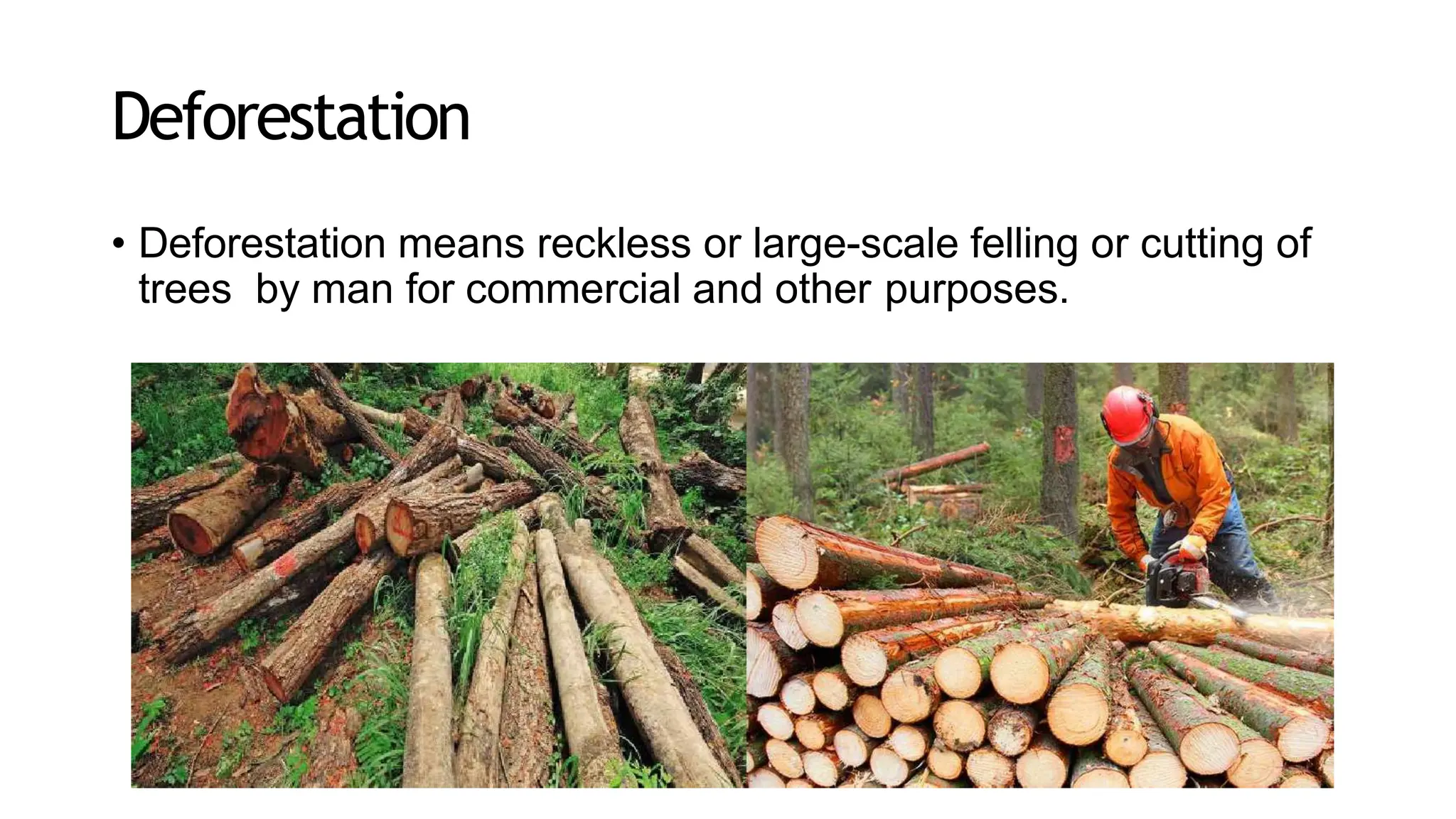 Deforestation
• Deforestation means reckless or large-scale felling or cutting of
trees by man for commercial and other purposes.
 
