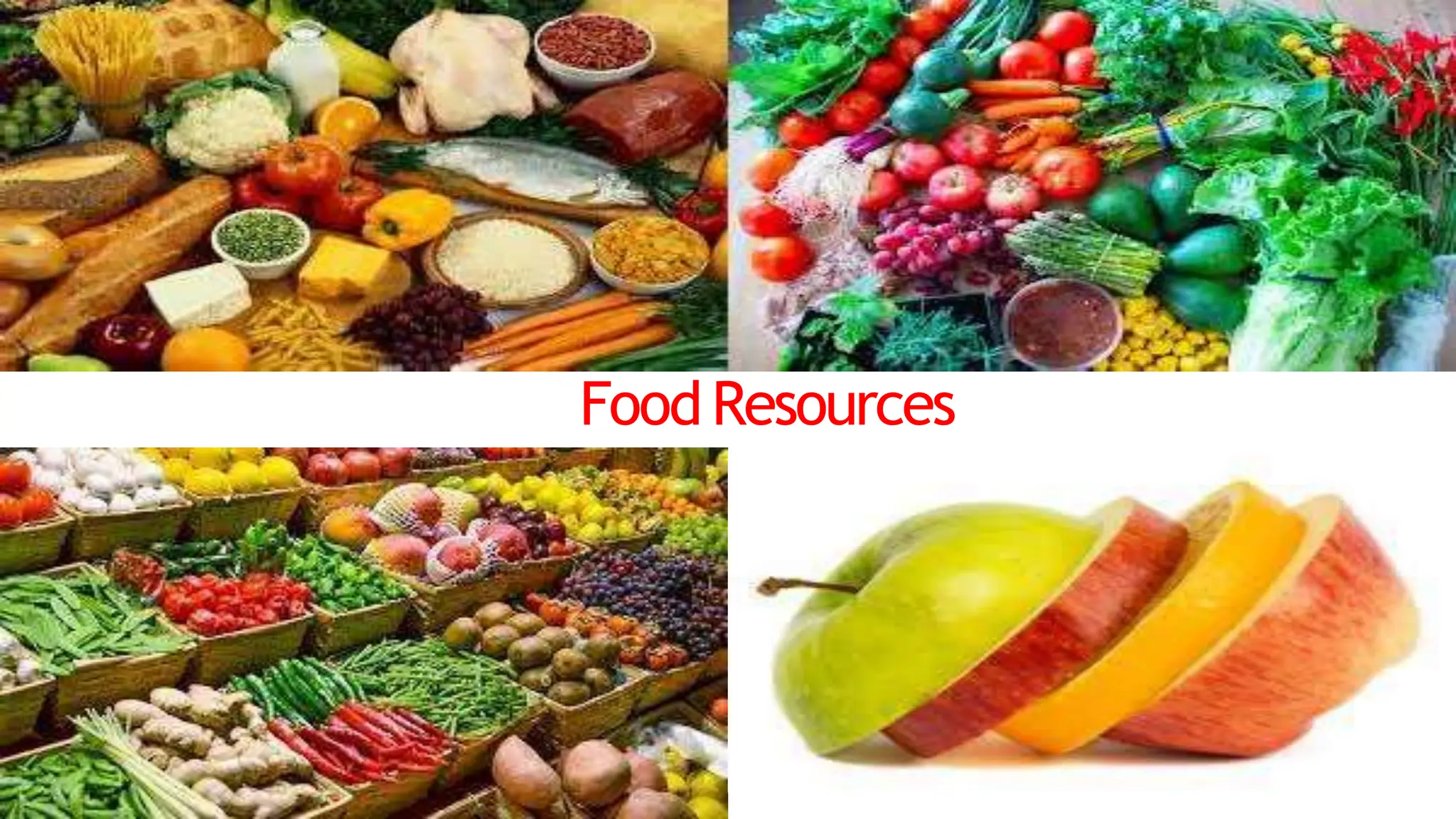 FoodResources
 