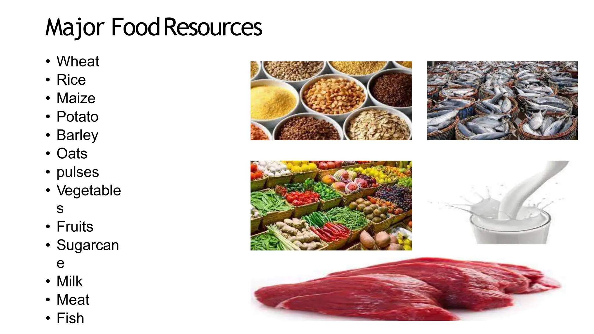 Major FoodResources
• Wheat
• Rice
• Maize
• Potato
• Barley
• Oats
• pulses
• Vegetable
s
• Fruits
• Sugarcan
e
• Milk
• Meat
• Fish
 