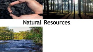 Natural Resources
 