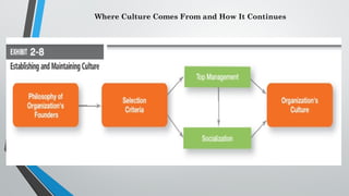 Where Culture Comes From and How It Continues
 