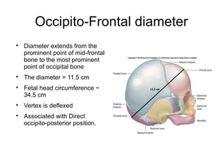 Deflexed lesson 2.pptx obgyn medicine for students | PPTX
