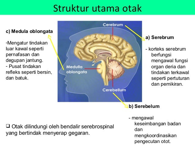 Imej yang berkaitan