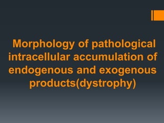 Morphology of pathological
intracellular accumulation of
endogenous and exogenous
products(dystrophy)
 