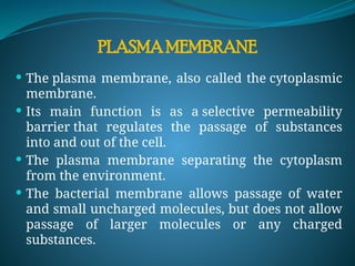 PLASMA MEMBRANE
 The plasma membrane, also called the cytoplasmic
membrane.
 Its main function is as a selective permeability
barrier that regulates the passage of substances
into and out of the cell.
 The plasma membrane separating the cytoplasm
from the environment.
 The bacterial membrane allows passage of water
and small uncharged molecules, but does not allow
passage of larger molecules or any charged
substances.
 