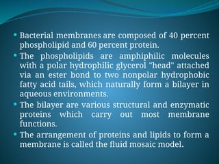  Bacterial membranes are composed of 40 percent
phospholipid and 60 percent protein.
 The phospholipids are amphiphilic molecules
with a polar hydrophilic glycerol "head" attached
via an ester bond to two nonpolar hydrophobic
fatty acid tails, which naturally form a bilayer in
aqueous environments.
 The bilayer are various structural and enzymatic
proteins which carry out most membrane
functions.
 The arrangement of proteins and lipids to form a
membrane is called the fluid mosaic model.
 