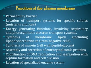 Functions of the plasma membrane
 Permeability barrier
 Location of transport systems for specific solutes
(nutrients and ions)
 Energy generating functions, involving respiratory
and photosynthetic electron transport systems.
 Synthesis of membrane lipids (including
lipopolysaccharide in Gram-negative cells).
 Synthesis of murein (cell wall peptidoglycan)
 Assembly and secretion of extracytoplasmic proteins
 Coordination of DNA replication and segregation with
septum formation and cell division
 Location of specialized enzyme system
 