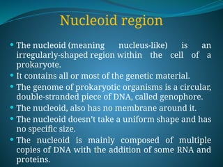 Nucleoid region
 The nucleoid (meaning nucleus-like) is an
irregularly-shaped region within the cell of a
prokaryote.
 It contains all or most of the genetic material.
 The genome of prokaryotic organisms is a circular,
double-stranded piece of DNA, called genophore.
 The nucleoid, also has no membrane around it.
 The nucleoid doesn’t take a uniform shape and has
no specific size.
 The nucleoid is mainly composed of multiple
copies of DNA with the addition of some RNA and
proteins.
 