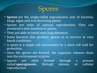  Spores are the single-celled reproductive unit of bacteria,
fungi, algae and non-flowering plants.
 Spores are units of asexual reproduction. They can
produced a new bacteria or plants.
 They are able to travel over long distances.
 Some bacteria also produce spores as to survive in very
harsh conditions.
 A spore is a single cell surrounded by a thick cell wall for
protection.
 Once the spores are formed, the organism releases them
into the environment to grow.
 Spores are often formed through a process
called sporogenesis, through mitosis, or cellular
reproduction.
Spores
 
