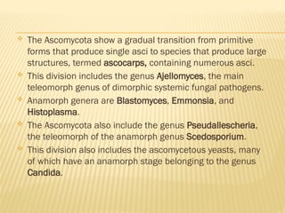 LESSON 2 - CLASSIFICATION OF FUNGY MLS 318.pptx