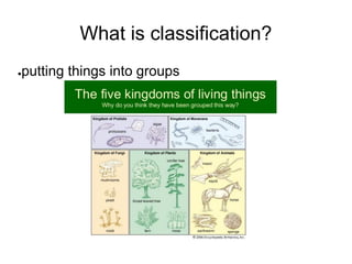 Lesson 2 classification systems | PDF