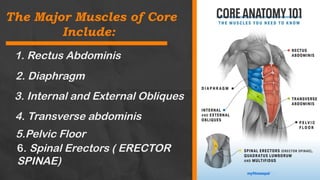 Core Muscles Chart LESSON 2- CORE MUSCLES of the human body | PPTX