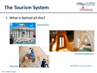 Prof. dr Angelina Njeguš
The Tourism System
 What is behind all this?
Attractions
Accommodations
Tourists And there is much more ...
 