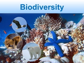 Biodiversity
 