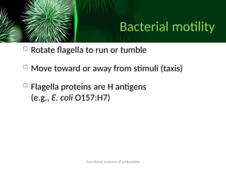 Run Bacteria Comprehensive Functional Anatomy of Bacteria: Structure and Physiology ...