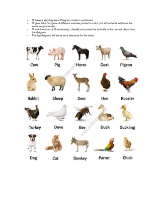 - I’ll have a very big Venn Diagram made in cardboard
- I’ll give them 3 copies of different animals printed in color (not all students will have the
same copy/animals)
- I’ll ask them to cut (if necessary), classify and paste the animals in the correct place from
the diagram
- The big diagram will serve as a resource for the class
 