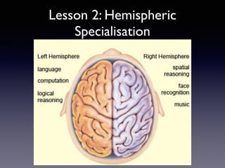 Lesson 2: Hemispheric
Specialisation
 