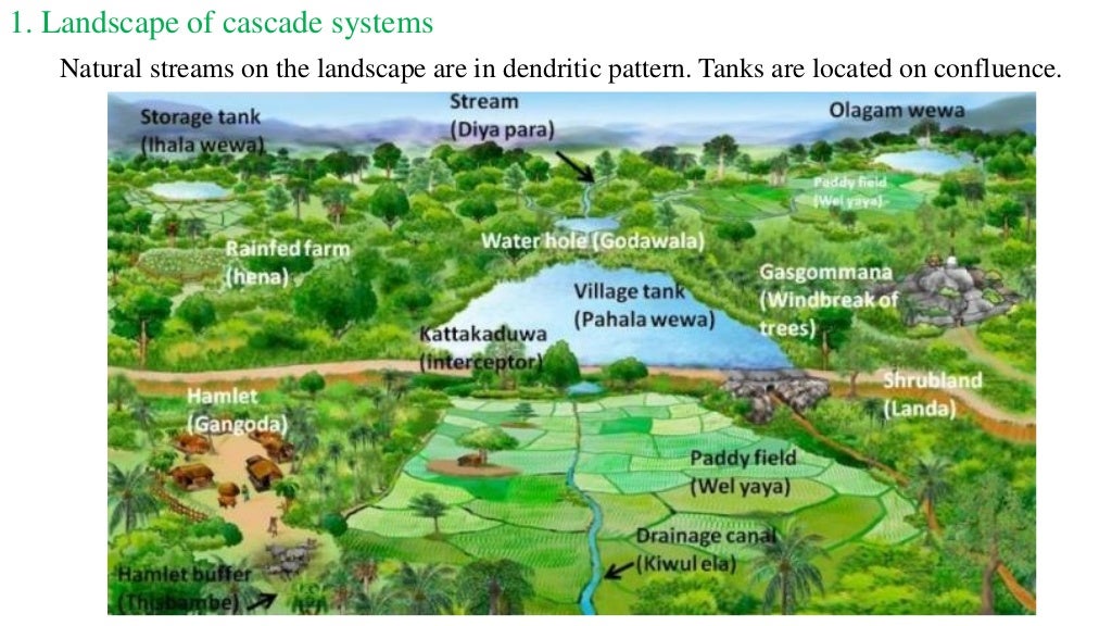 Lesson 2 importance of tank cascade systems