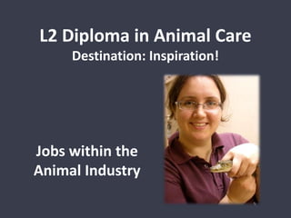 L2 Diploma in Animal Care 
Destination: Inspiration! 
Jobs within the 
Animal Industry 
 