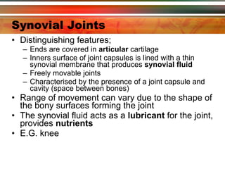 Synovial Joints Distinguishing features; Ends are covered in  articular  cartilage Inners surface of joint capsules is lined with a thin synovial membrane that produces  synovial fluid Freely movable joints Characterised by the presence of a joint capsule and cavity (space between bones) Range of movement can vary due to the shape of the bony surfaces forming the joint The synovial fluid acts as a  lubricant  for the joint, provides  nutrients   E.G. knee 