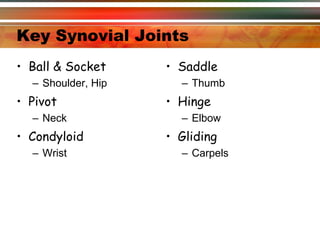 Key Synovial Joints Ball & Socket Shoulder, Hip Pivot Neck Condyloid Wrist Saddle Thumb Hinge Elbow Gliding Carpels 