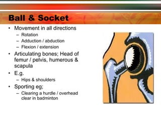 Ball & Socket   Movement in all directions  Rotation Adduction / abduction Flexion / extension Articulating bones; Head of femur / pelvis, humerous & scapula E.g.  Hips & shoulders Sporting eg; Clearing a hurdle / overhead clear in badminton 