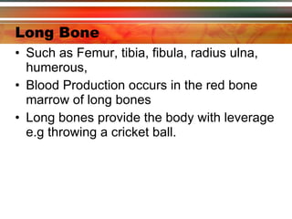 Long Bone Such as Femur, tibia, fibula, radius ulna, humerous,  Blood Production occurs in the red bone marrow of long bones Long bones provide the body with leverage e.g throwing a cricket ball. 
