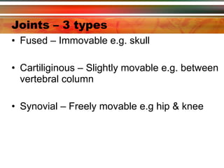 Joints – 3 types Fused – Immovable e.g. skull Cartiliginous – Slightly movable e.g. between vertebral column Synovial – Freely movable e.g hip & knee 
