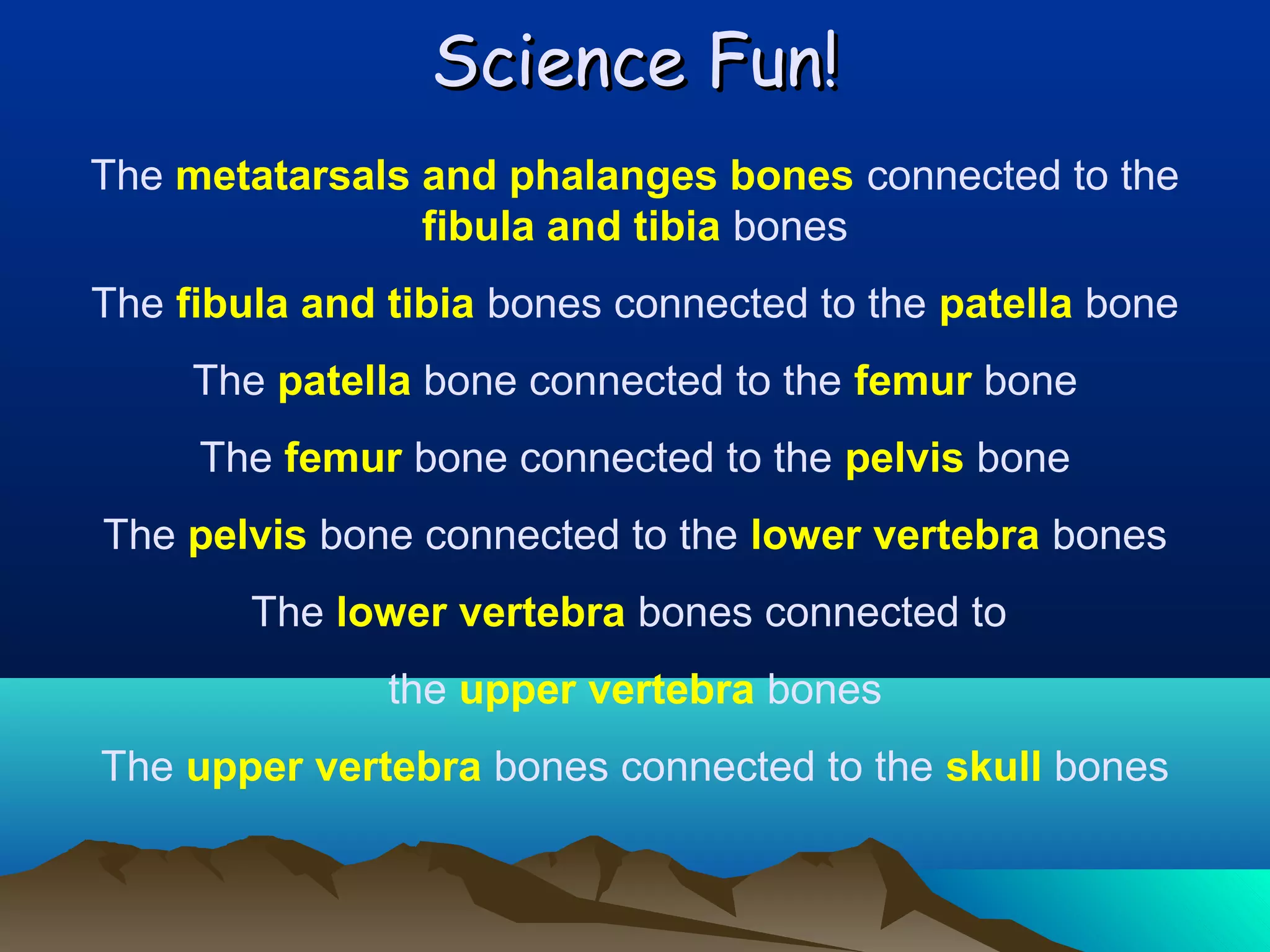 Science Fun!
The metatarsals and phalanges bones connected to the
fibula and tibia bones
The fibula and tibia bones connected to the patella bone
The patella bone connected to the femur bone
The femur bone connected to the pelvis bone
The pelvis bone connected to the lower vertebra bones
The lower vertebra bones connected to
the upper vertebra bones
The upper vertebra bones connected to the skull bones

 