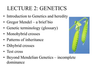 LECTURE 2: GENETICS
• Introduction to Genetics and heredity
• Gregor Mendel – a brief bio
• Genetic terminology (glossary)
• Monohybrid crosses
• Patterns of inheritance
• Dihybrid crosses
• Test cross
• Beyond Mendelian Genetics – incomplete
dominance
 