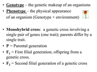 • Genotype – the genetic makeup of an organisms
• Phenotype – the physical appearance
of an organism (Genotype + environment)
• Monohybrid cross: a genetic cross involving a
single pair of genes (one trait); parents differ by a
single trait.
• P = Parental generation
• F1 = First filial generation; offspring from a
genetic cross.
• F2 = Second filial generation of a genetic cross
 