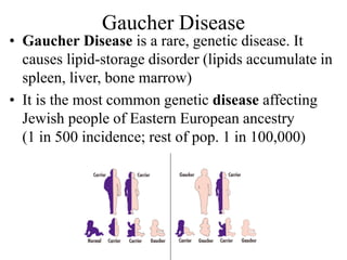 Gaucher Disease
• Gaucher Disease is a rare, genetic disease. It
causes lipid-storage disorder (lipids accumulate in
spleen, liver, bone marrow)
• It is the most common genetic disease affecting
Jewish people of Eastern European ancestry
(1 in 500 incidence; rest of pop. 1 in 100,000)
 