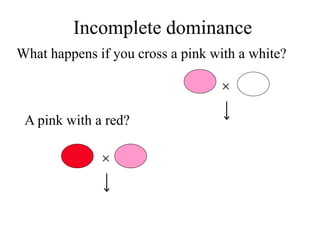 What happens if you cross a pink with a white?
Incomplete dominance


A pink with a red?
 