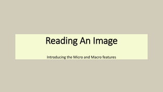Reading An Image
Introducing the Micro and Macro features
 