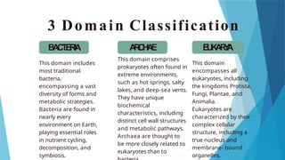 LESSON 2 - MICROBIOLOGY.pptx Microbial Cell Structure and Taxonomy ...
